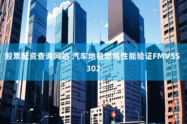 股票配资查询网站 汽车地毯燃烧性能验证FMVSS 302