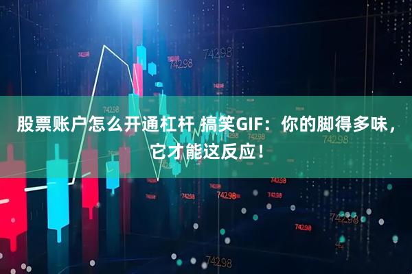 股票账户怎么开通杠杆 搞笑GIF：你的脚得多味，它才能这反应！