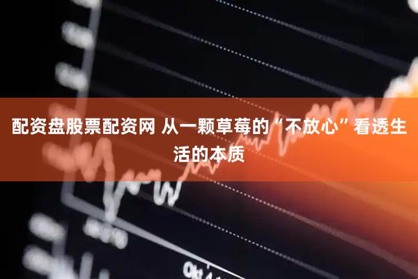 配资盘股票配资网 从一颗草莓的“不放心”看透生活的本质