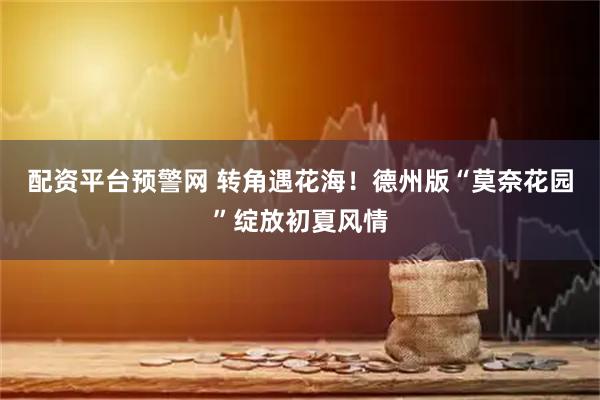 配资平台预警网 转角遇花海！德州版“莫奈花园”绽放初夏风情